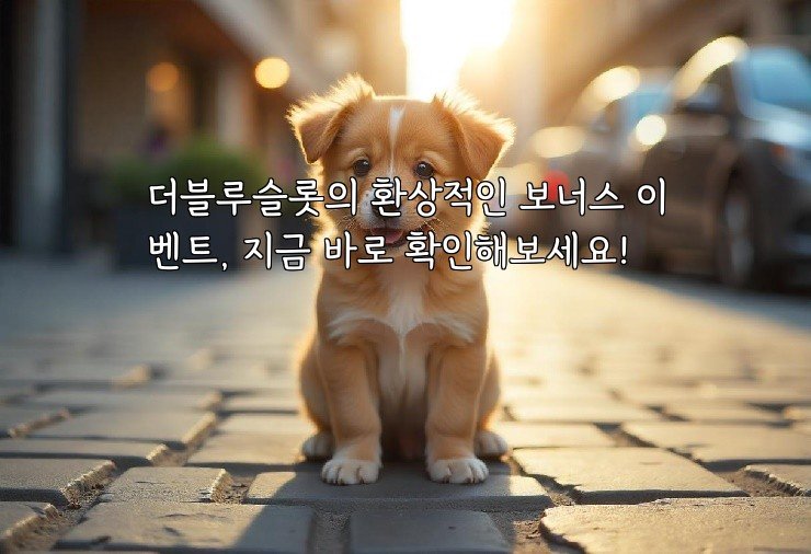 더블루슬롯의 환상적인 보너스 이벤트, 지금 바로 확인해보세요!